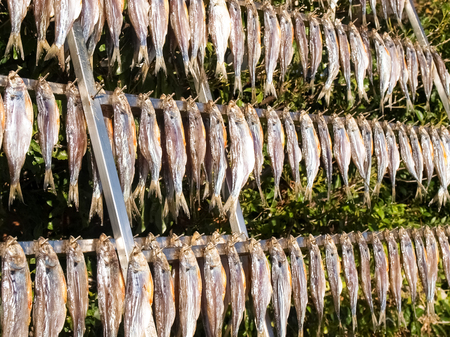 Lake Como, Italy. Typical fish named misultin dried in the sunの写真素材