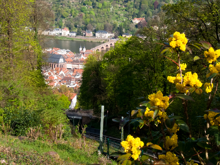 Heidelberg, Germany: City view from the KÃÆ'Ã,Â¶nigstuhl 80 meters above the valley floor on the north sideのeditorial素材
