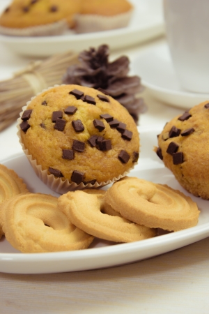 Chocolate muffinsの写真素材