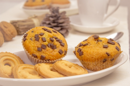 Chocolate muffinsの写真素材