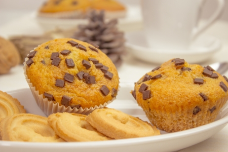 Chocolate muffinsの写真素材