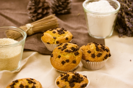 Chocolate muffinの写真素材