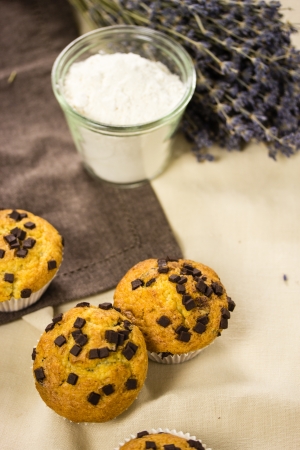 Chocolate muffinsの写真素材