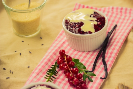 Red fruit compote with custardの写真素材