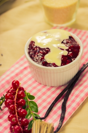 Red fruit compote with custardの写真素材