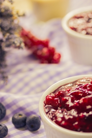 Red fruit compote with custardの写真素材