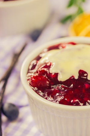 Red fruit compote with custardの写真素材