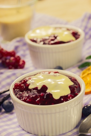 Red fruit compote with custardの写真素材