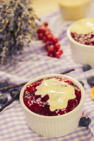 Red fruit compote with custardの写真素材