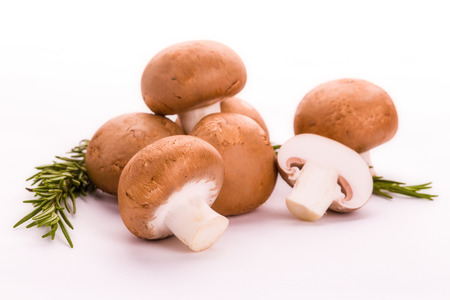Mushroomの写真素材