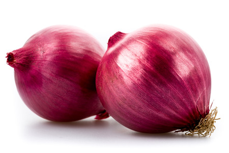 Red onions on a white backgroundの写真素材
