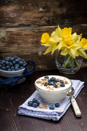 Fresh blueberry yogurt with granola and mint on a backgroundの写真素材