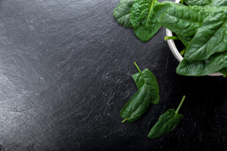 Freshly picked spinach on a backgroundの写真素材