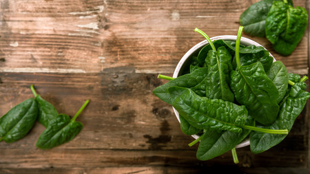Freshly picked spinach on a backgroundの写真素材