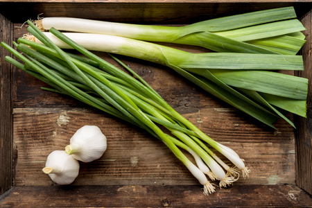 Fresh leek and garlic on a backgroundの写真素材
