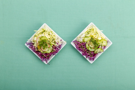 Fresh raw vegetable salad with cabbage, cress and cucumber
