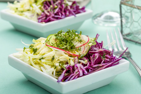 Fresh raw vegetable salad with cabbage, cress and cucumberの写真素材