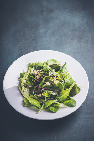 Salad mixed raw on plate without dressingの写真素材