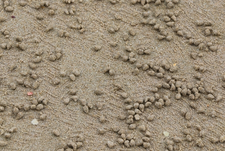 Sand and Stone Wallpaper on the beach