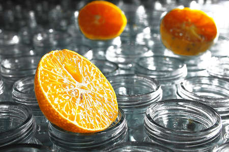 Orangeの写真素材