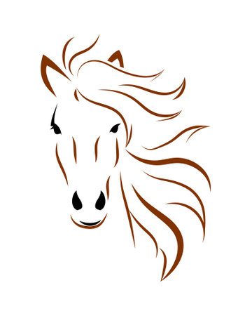 Horse head with mane on white background. Line drawing in black and brown.のイラスト素材