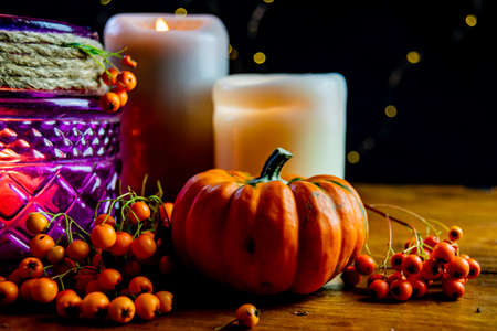 Variety of pumpkins, rowan berries and candles on rustic wooden table and black background with bokeh. Autumn symbolic vegetables in green, yellow and orange colors.の写真素材