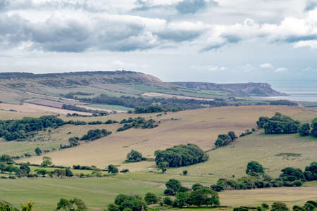 Farmlands and trees by the sea panorama, distant view of land by the ocean in United Kingdom, cloudy sea and green meadows stretching for miles, hills and cliffs by the beachの写真素材