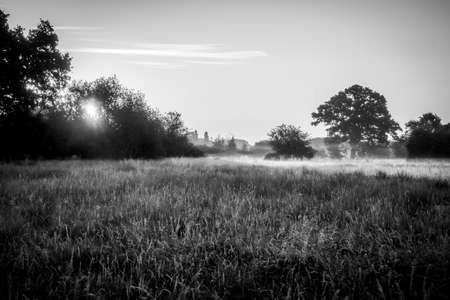 Black and white meadow flooded with morning hazy mist and first rays of sun. Pasture field with...