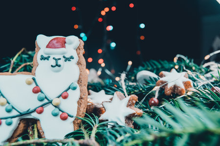 Gingerbread llama cookie standing on green spruce with ginger bread stars, wodden grey hearts and fairy led lights or yew branches, composition on black and colorful bokeh background along, cute sweet christmas mix for wallpaper with copy spaceの写真素材