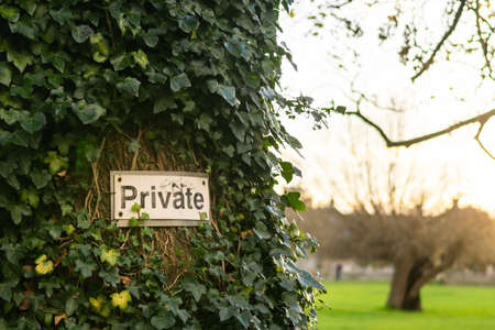 Private sign hanged on a tree with beautiful big green park and houses in the background