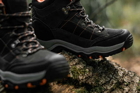 Closeup on pair of dark grey hiking boots on a natural raw wood in the woodland. Selective focus on dark shoes with ankle support for walking, surrounded by nature.の写真素材