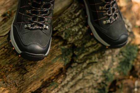 Top view closeup of hiking boots on a natural raw wood in the woodland. Selective focus on chunky supportive shoes in dark grey colour with light grey outer sole standing on a tree trunk.の写真素材