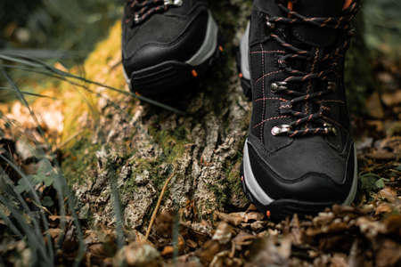 Front view closeup for pair of dark grey hiking boots on a natural raw wood in the woodland....