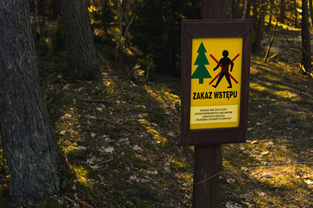 Wodden sign with written Entrance Into the Forest Prohibited, standing in the middle of the forest. Sign post in dark brown color and bright yellow background placed in woodland.のeditorial素材