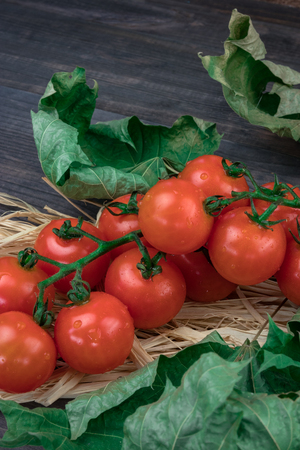 cherry tomatoes on a wooden surface with leaves of wood and hay.の写真素材