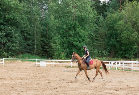 Young girl rider on a dressage in the park on a slender horse.の写真素材