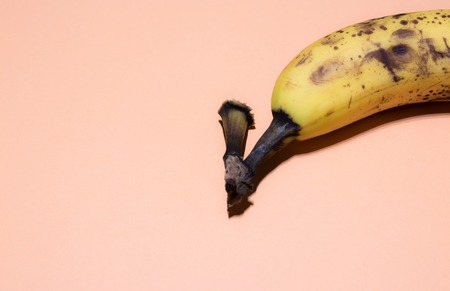 Single overripe banana isolated over white backgroundの写真素材