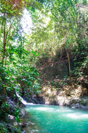 Amazing small hidden waterfall on a hike through a forest. Wonderful autumn scene with fern, small stream and water falling from the rocks. Quiet, clean and beautiful. Fresh outdoor air.の写真素材