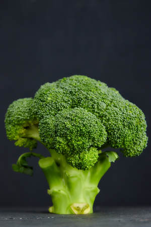 two heads of healthy salad. fresh green broccoli. horizontal view of green vegetable flower. healthy diet.の写真素材