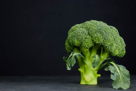 two heads of healthy salad. fresh green broccoli. horizontal view of green vegetable flower. healthy...