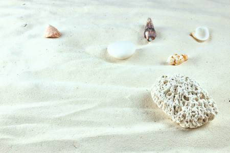 white Sand and shells. the background of the sea beach. vertical view, close-up.の写真素材