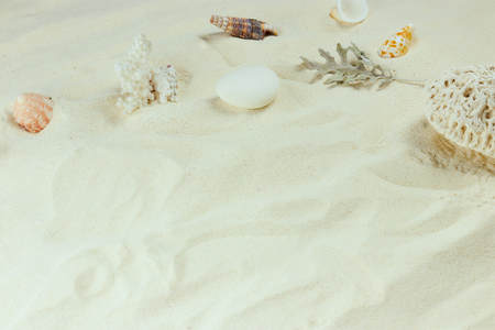 white Sand and shells. the background of the sea beach. vertical view, close-up.の写真素材