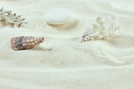white Sand and shells. the background of the sea beach. vertical view, close-up.の写真素材
