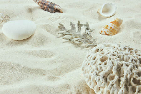 white Sand and shells. the background of the sea beach. vertical view, close-up.の写真素材