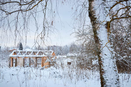 Spruce and trees with snow in the winter Park. snow tree.の写真素材