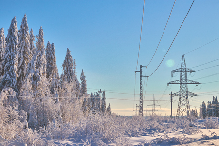 Picturesque image of the snow spruce . Cold day, calm winter scene. The concept of tourism. Happy New Year Russian forest.の写真素材