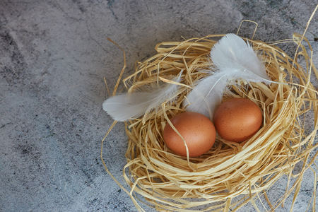 Brown chicken eggs with white feathers in hay nest on light concrete. Copy space. horizontal view of raw chicken eggs.の写真素材