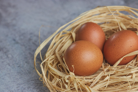 Brown eggs in hay nest on light concrete. fresh farm eggs. horizontal view of raw chicken eggs. The concept of the village. copy space.の写真素材