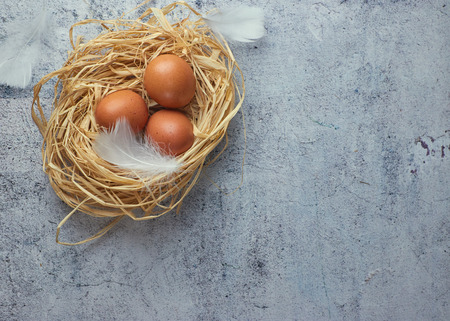 Brown chicken eggs with white feathers in hay nest on light concrete. closeup of a farm of eggs. copy space. horizontal view of raw chicken eggs. Village conceptの写真素材