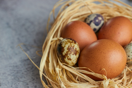 Brown chicken eggs with white feathers in hay nest on light concrete. Copy space. horizontal view of raw chicken eggs.の写真素材